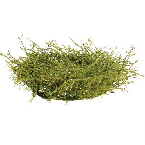 Floristik24 Pavasarinis vainikas su samanų žalia Ø30cm