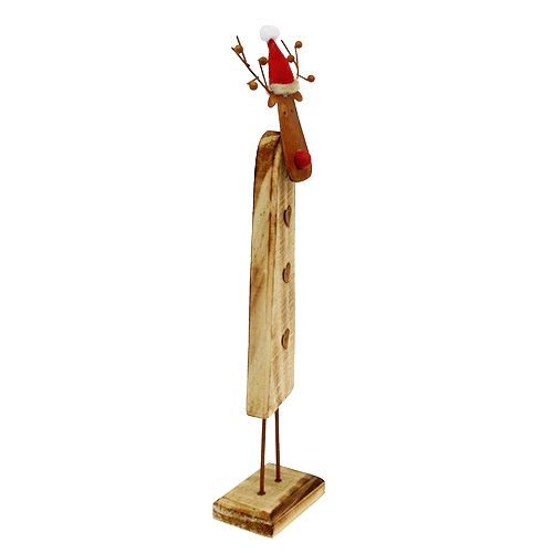 Floristik24 Elnias su skrybėlių medžio gamta 32cm