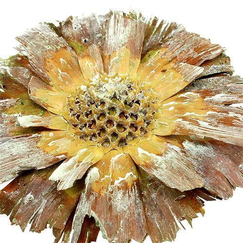 daiktų Repens rozetė žalias matinis 8cm - 9cm 25 vnt