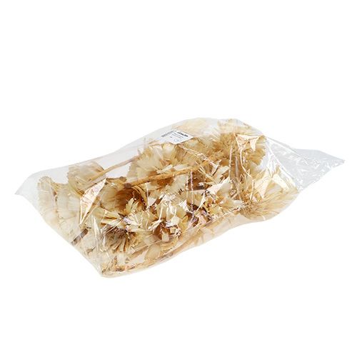 daiktų Repens rozetė balinta 8-9cm 20 vnt