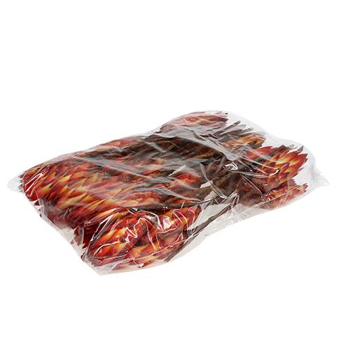 daiktų Repens Red mažas 50 vnt