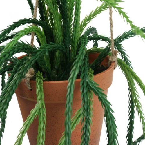 daiktų Rhipsalis dirbtinio koralinio kaktuso pakabinamas krepšelis H87cm