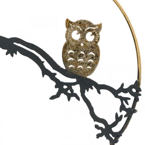 Lango puošmena pelėda ant šakos rudeninis, dekoratyvinis žiedas metalinis 22cm