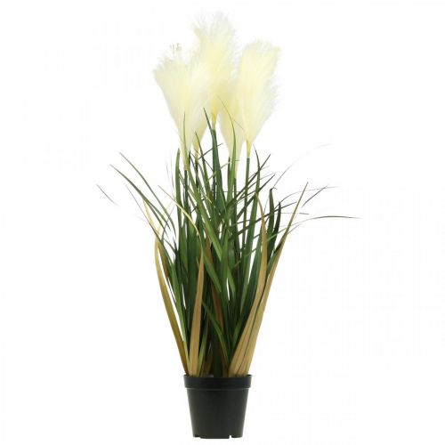 daiktų Nendrinė žolė vazone Dirbtinis vazoninis augalas Kremas, Žalias 79cm