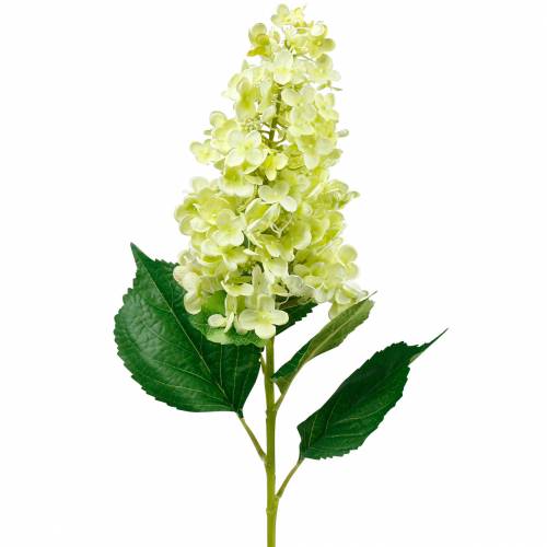 Dirbtinė panicle hortenzija, hortenzijos žalia, aukštos kokybės šilkinė gėlė 98cm