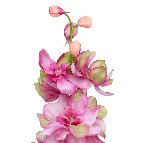 daiktų Larkspur Pink 60cm