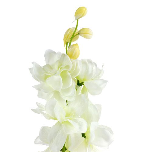 Floristik24 Larkspur baltas L60cm