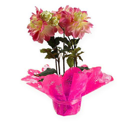 Floristik24 Rondella rankogaliai Ø58cm rožiniai 50vnt