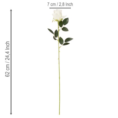 Dirbtinė rožė, ilgas kotas, vazai, 62 cm, 12 vnt. | Floristik24.lt