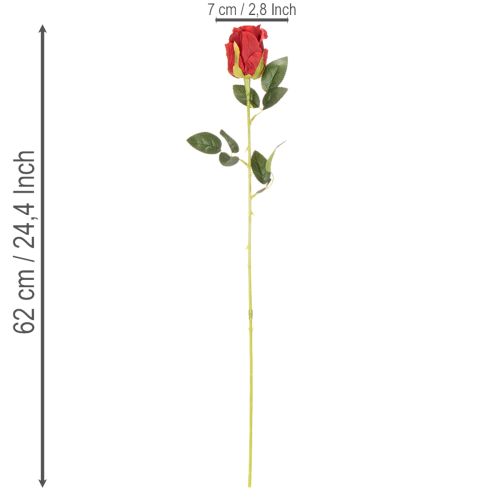 Dirbtinė rožė su ilgu kotu, raudona dirbtinė gėlė, 62 cm, 12 vnt. | Floristik24.lt
