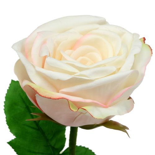 Floristik24 Dirbtinis rožių kremas 69cm
