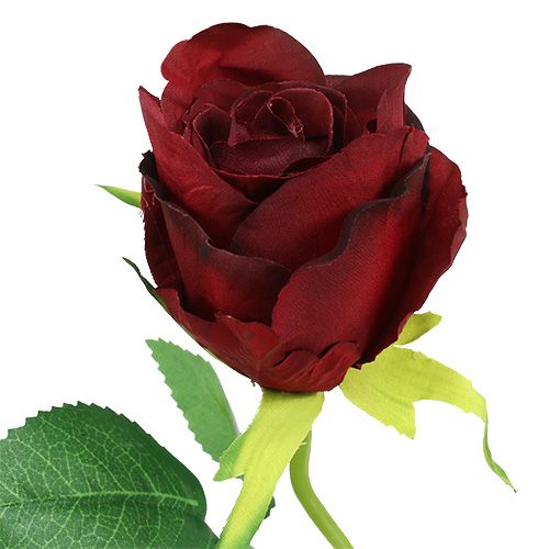 Floristik24 Rožė raudona dirbtinė Ø6cm L50cm