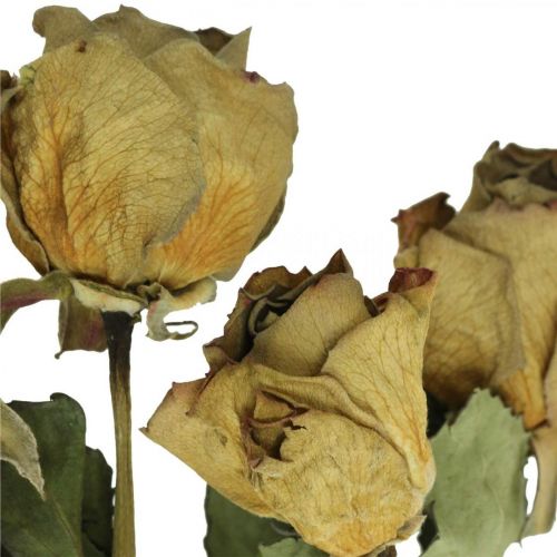 Floristik24 Džiovintų gėlių rožė, Valentino diena, sausa floristika, kaimiškos dekoratyvinės rožės geltonai violetinė L45-50cm 5 vnt.