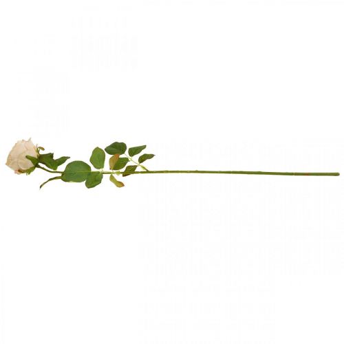 daiktų Rožių kreminė šilkinė gėlė Dirbtinė rožė L74cm Ø7cm