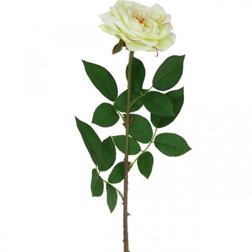 Dirbtinė rožė, dekoratyvinė rožė, šilkine gėlė kreminė balta, žalia L72cm Ø12cm