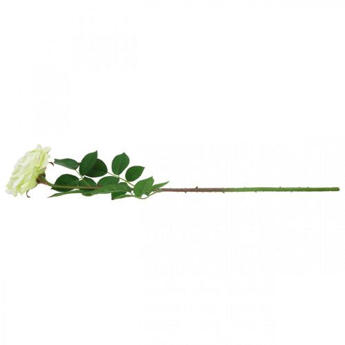 daiktų Dirbtinė rožė, dekoratyvinė rožė, šilkine gėlė kreminė balta, žalia L72cm Ø12cm