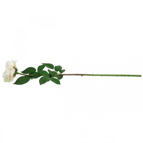 daiktų Kreminė balta abrikosinė rožė, šilkinė gėlė, dirbtinės rožės L72cm Ø12cm