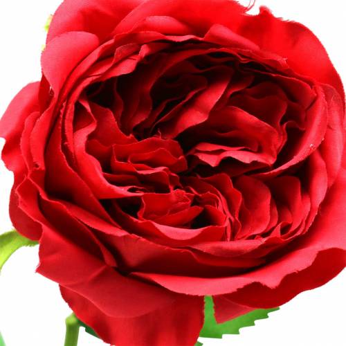 daiktų Rožė dirbtinė gėlė raudona 72cm