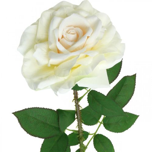 daiktų Šilkinė gėlė, rožė ant stiebo, dirbtinis augalas kreminis baltas, rožinis L72cm Ø13cm