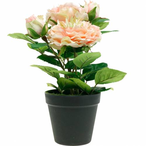 daiktų Dekoratyvinė rožė vazone, Romantiškos šilkinės gėlės, Rožinis bijūnas