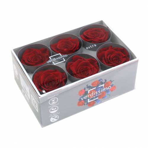 daiktų Infinity Roses Large Ø5,5-6cm Raudona 6 vnt
