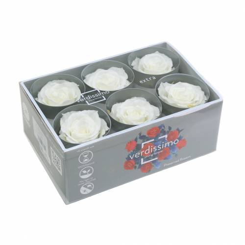daiktų Infinity Roses Large Ø5,5-6cm Balta 6 vnt