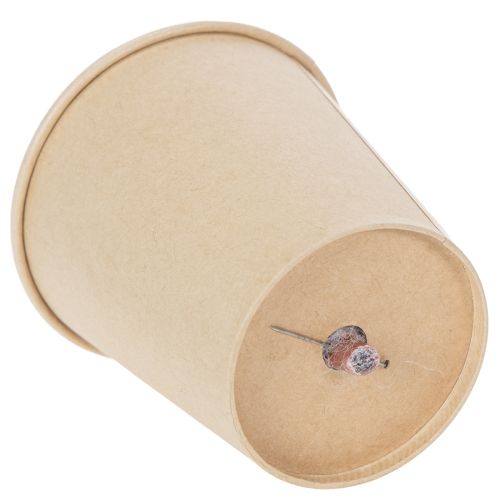 daiktų Ilgai išsaugotų rožių galvutės, romantiška dovana, ypatingoms progoms, 5 cm, 6 vnt.