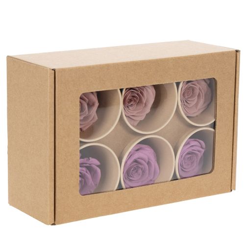 daiktų Ilgai išsaugotų rožių galvutės, romantiška dovana, ypatingoms progoms, 5 cm, 6 vnt.