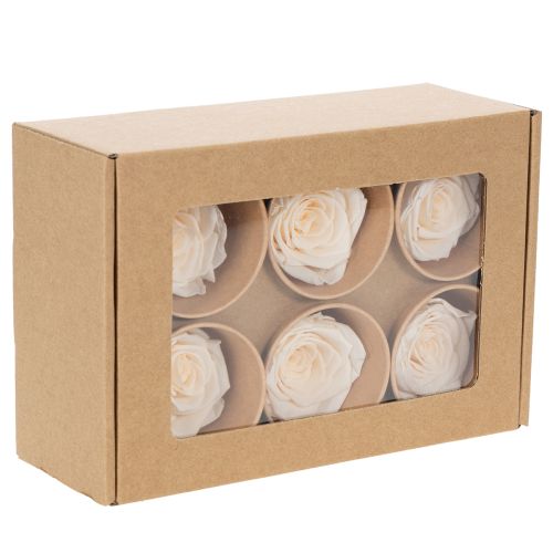 daiktų Rožių galvutės, konservuoti žiedai elegantiškoms gėlių kompozicijoms, 5 cm, 6 vnt.