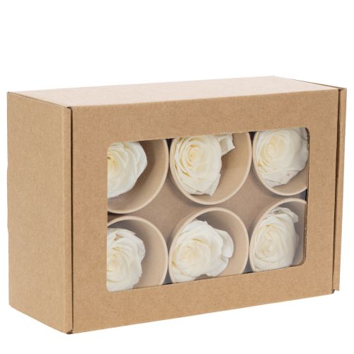 daiktų Konservuotų rožių galvutės, patvari stalo dekoracija romantiškai atmosferai, vestuvių dekoracija, 5 cm, 6 vnt.