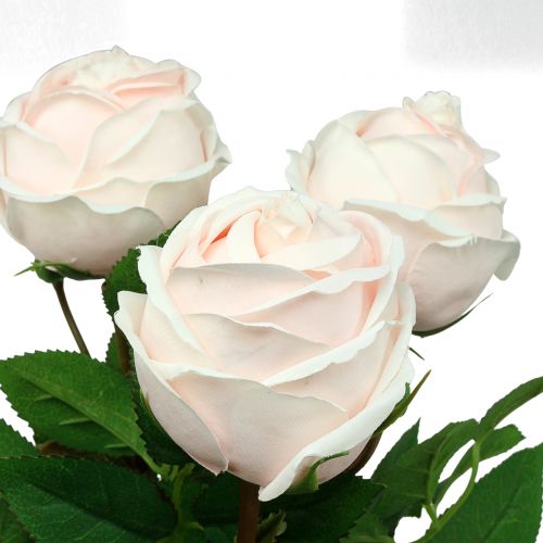 Floristik24 Rožių puokštė švelniai rožinė 65cm 4 vnt