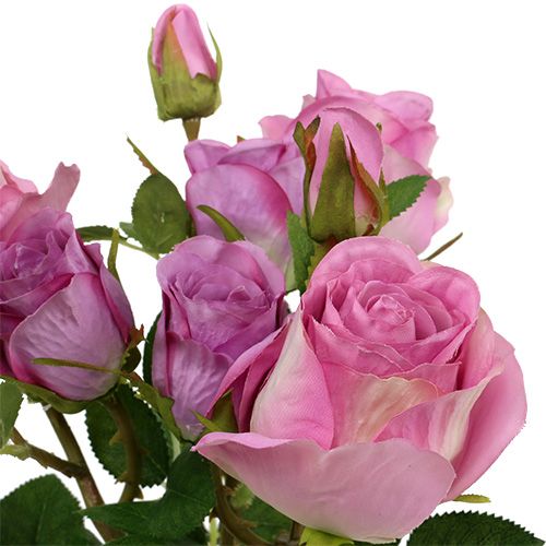 daiktų Rožių puokštė senai rožinė 40cm