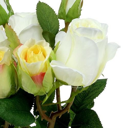 Floristik24 Rožių puokštės kremas 40cm