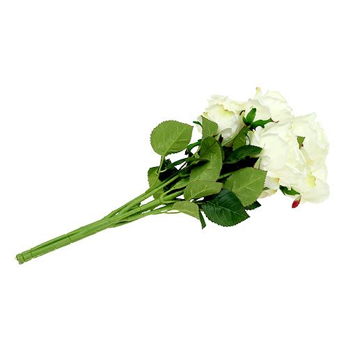 daiktų Rožių puokštė balta, kreminė 55cm