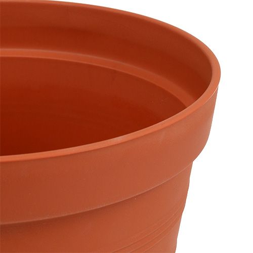 daiktų Rožių vazonas plastikinis 19cm terakotos 1 vnt