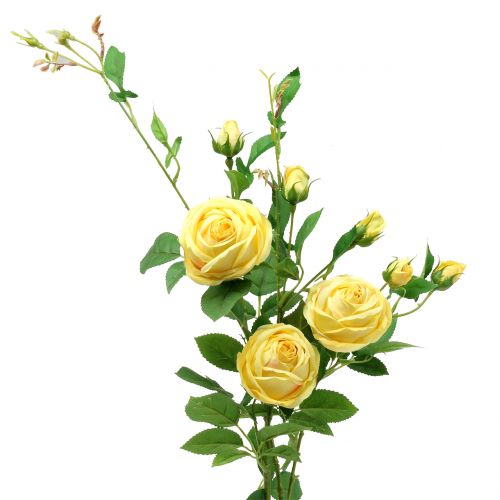 Floristik24 Rožės šakelė geltona 100cm