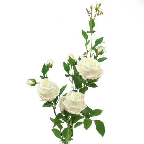 Rožių šakelių kremas / rožė 100cm