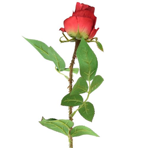 daiktų Rožės šakelė Šilkinė gėlė Dirbtinė rožė Raudona 72cm