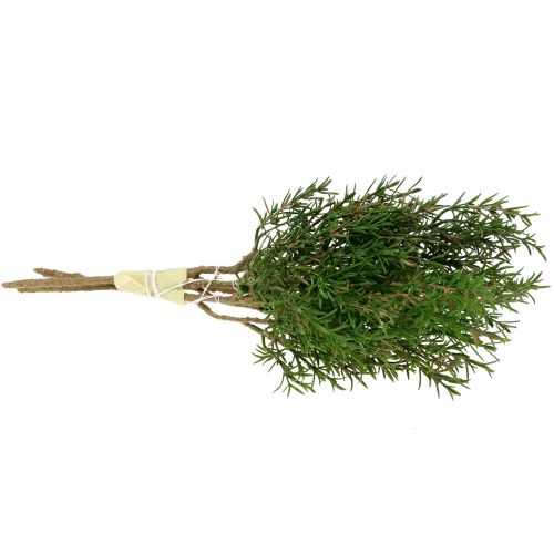 Floristik24 Rozmarino šakelė 36cm 3vnt