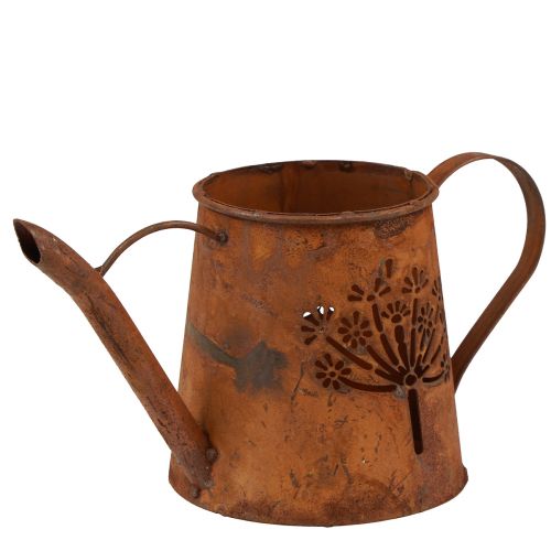 Floristik24 Rūdžių dekoratyvinė laistytinė metalinė kiaulpienių patina 25×12×12cm