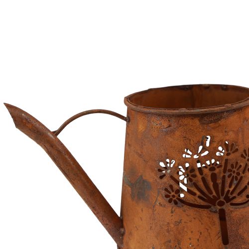 Floristik24 Rūdžių dekoratyvinė laistytinė metalinė kiaulpienių patina 25×12×12cm