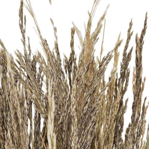 daiktų Bent Grass Agrostis Capillaris Dry Grass Nature 60cm 80g