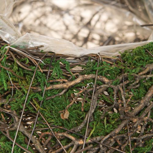 daiktų Apvalus vazonas su samanų vijokliais ir folija, Ø20cm, aukštis 7cm