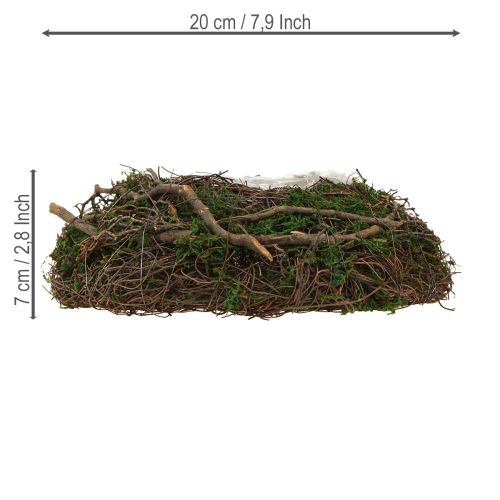 daiktų Apvalus vazonas su samanų vijokliais ir folija, Ø20cm, aukštis 7cm