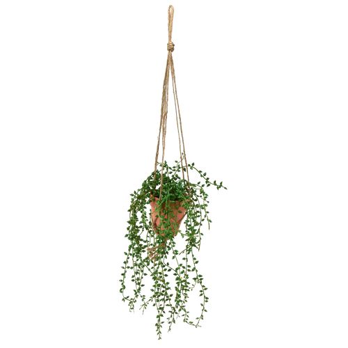Floristik24 Dirbtiniai sukulentai kabantys dirbtinis augalas vazone 34cm