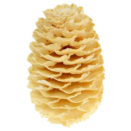 daiktų Sabulosum spurgai balinti 500g