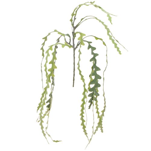 daiktų Dirbtinis pjūklo lapas kaktusas Epiphyllum anguliger L68cm 3 vnt.