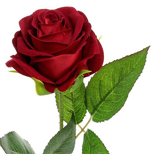 Floristik24 Aksominė rožė raudona 65cm 6vnt