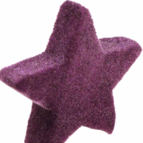 daiktų Išsklaidytos dekoracijos žvaigždės flokuotos aksominės žvaigždės violetinės uogos 4/5cm 40 vnt.