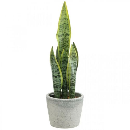 Floristik24 Dirbtinės lankinės kanapės, žalias augalas vazone, Sansevieria H39cm Ø12cm